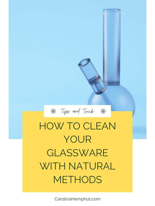 The Best Ways To Clean Glassware With Natural Methods