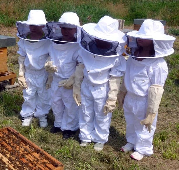 Beekeeping Protective Clothing What You Need! Carolina Honeybees