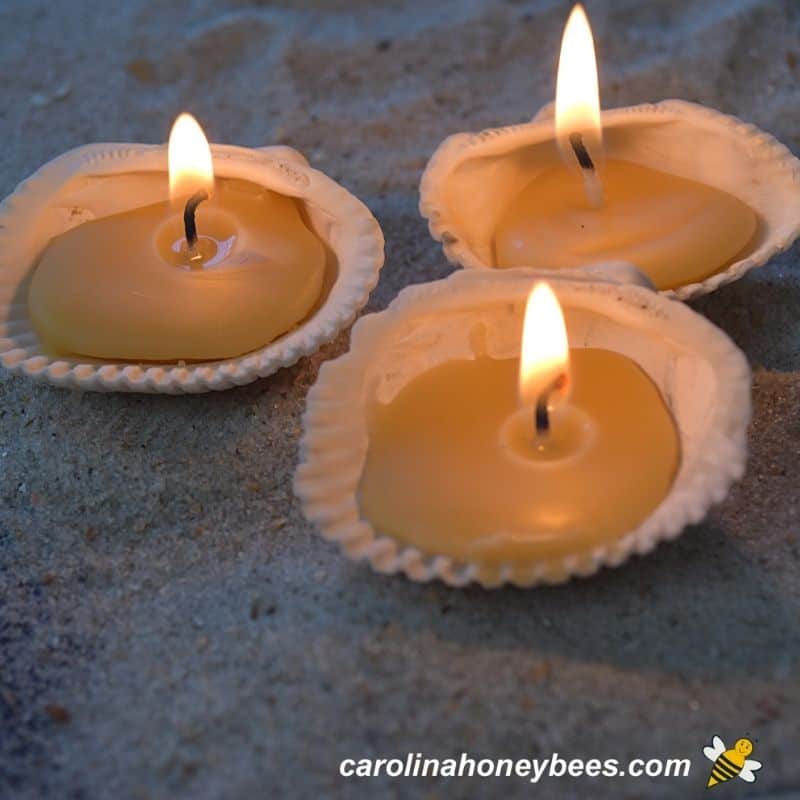 Beeswax Candle Molds Choose the Best Carolina Honeybees