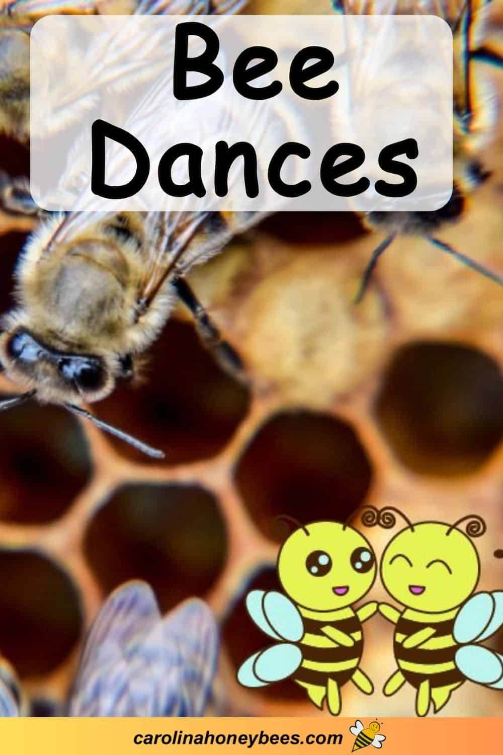 Bee Dances Why they Waggle? Carolina Honeybees