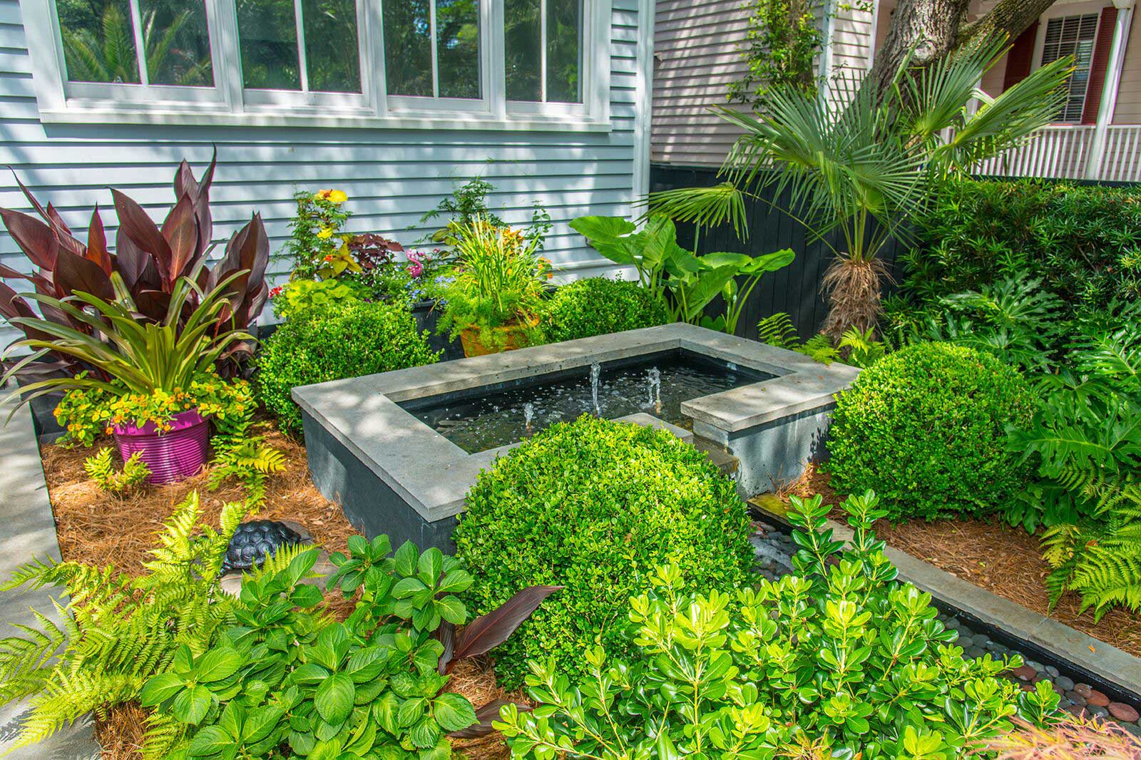 Tropical Oasis Carolina Landscape