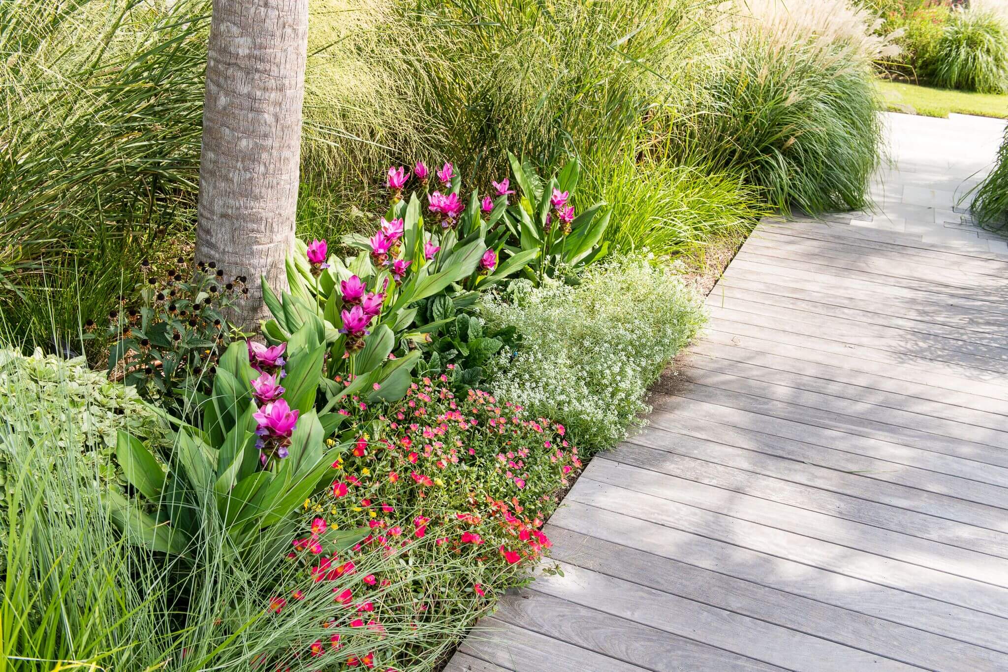 Coastal Contemporary Carolina Landscape