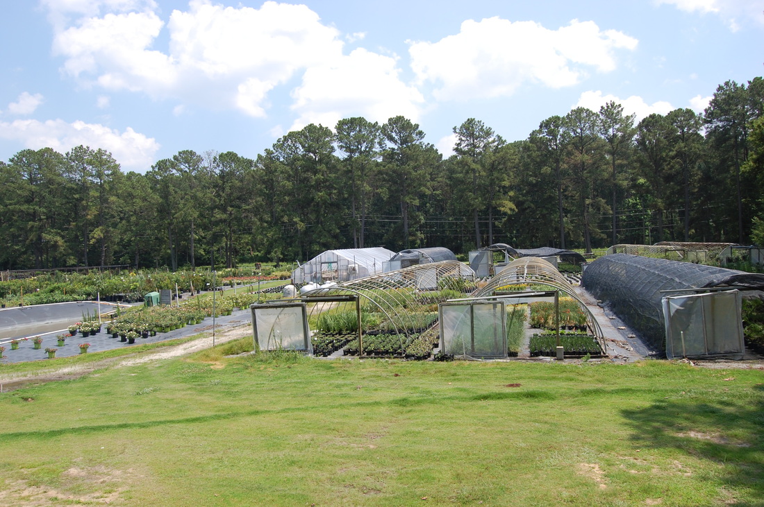 About Us Carolina Seasons Nursery