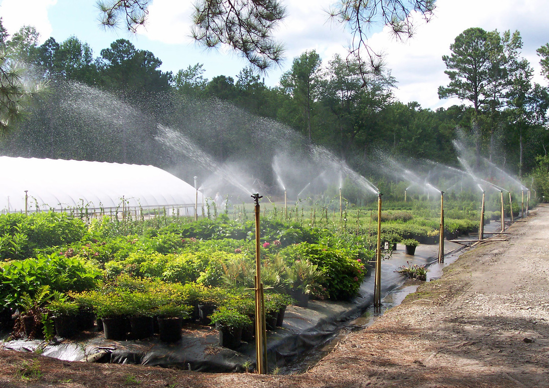 About Us Carolina Seasons Nursery