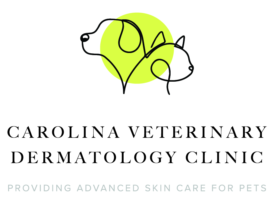 For Veterinarians Carolina Veterinary Dermatology Clinic