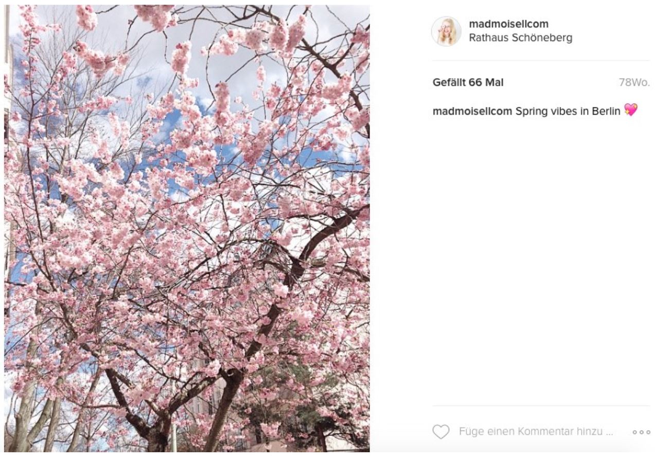 Mehr Instagram Follower bekommen Die besten Methoden 2020