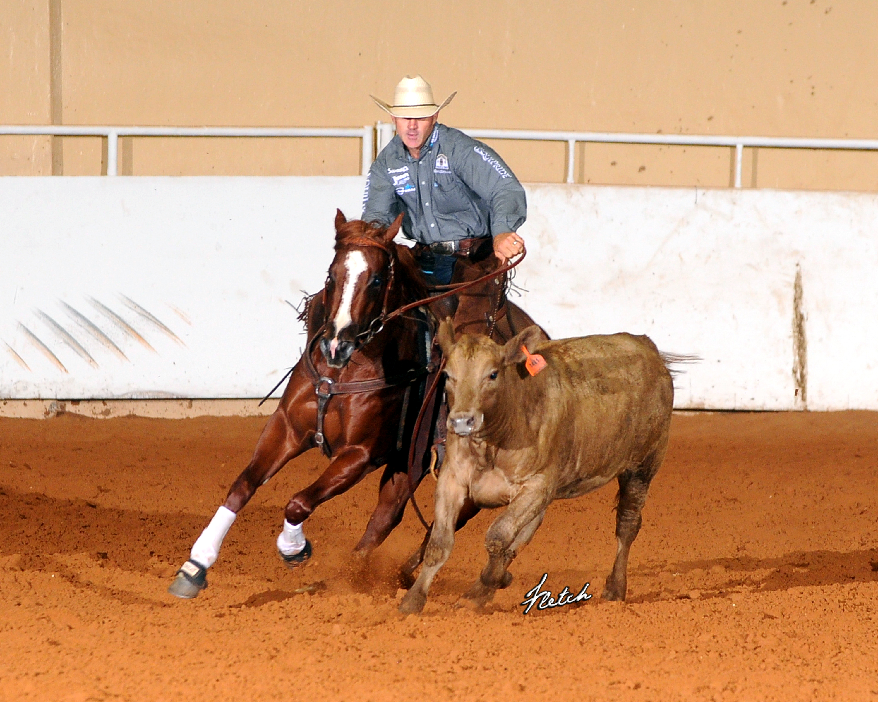 ShawnCircleCow Carol Rose Quarter Horses