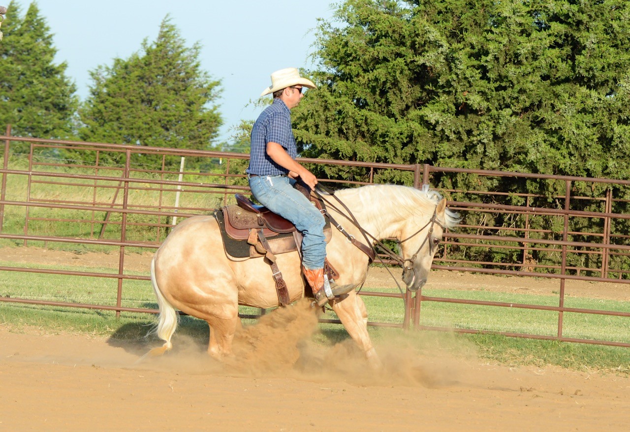 Suzy Carol Rose Quarter Horses