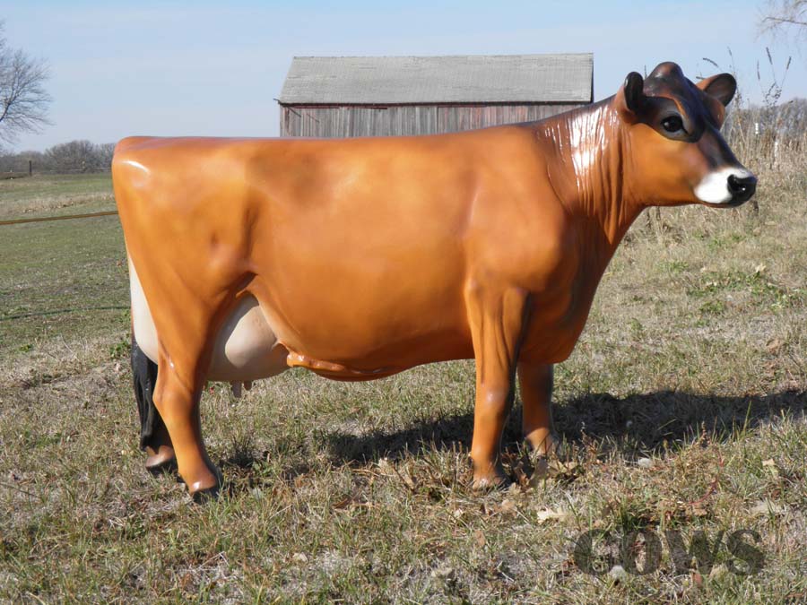 Cheese Cow,jersey cow,cow yard art,dairy cow,fiberglass cow