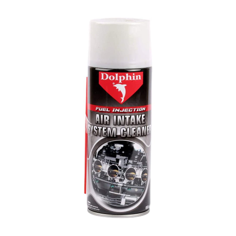 Dolphin Fuel Injection AirIntake System Cleaner Caronic