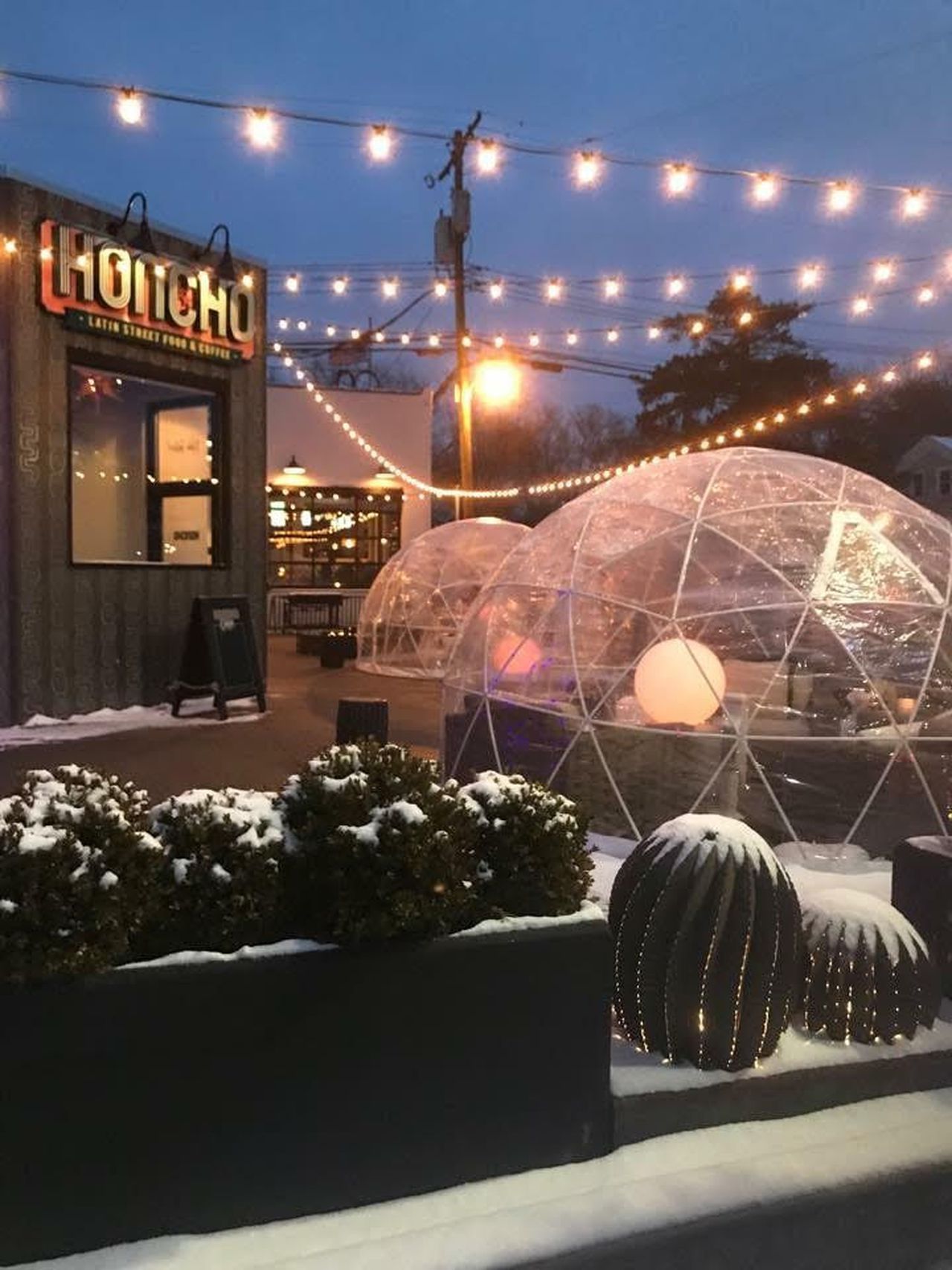 Igloos In Southeast Michigan Caron Koteles RihaCaron Koteles Riha