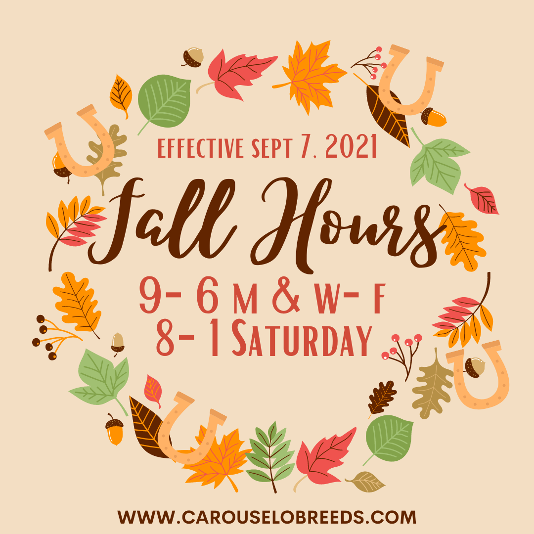 Fall Hours Begin Today!