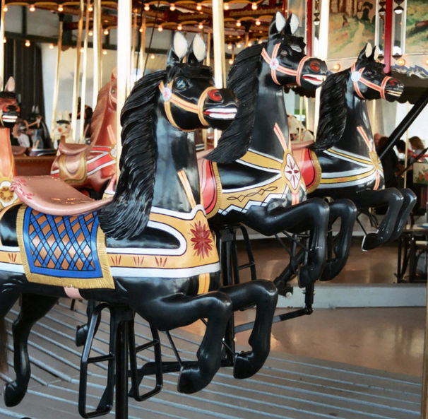 National Carousel Association New York State Museum Carousel Dare