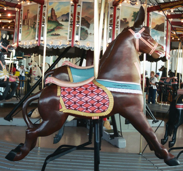National Carousel Association New York State Museum Carousel Dare