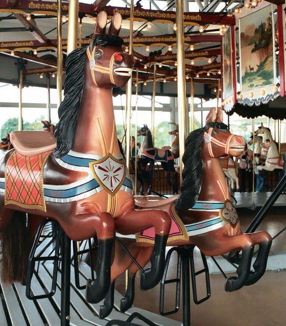 National Carousel Association New York State Museum Carousel Dare