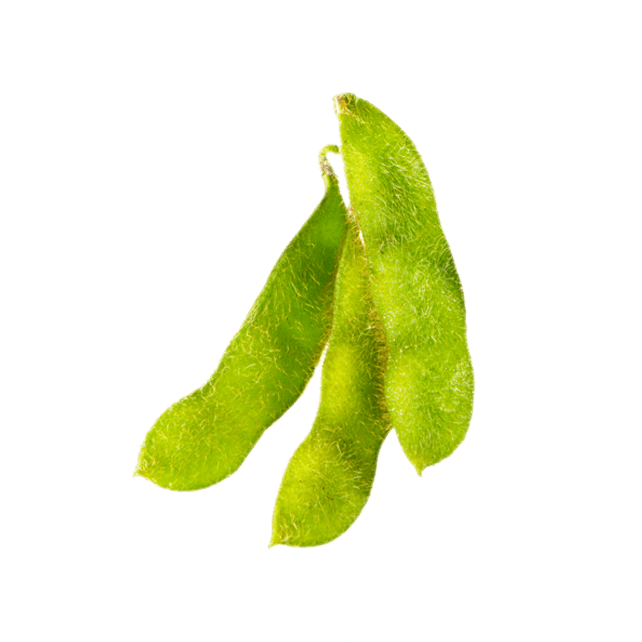 CaroVail Serving the agricultural community for over 40 years