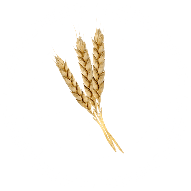 CaroVail Serving the agricultural community for over 40 years