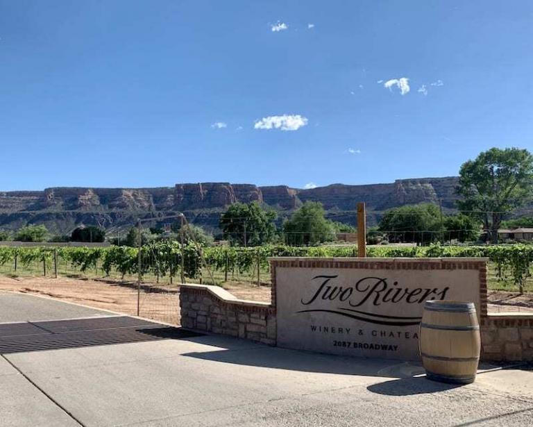 8 Palisade Wineries to Uncork The Best Wineries in Palisade CO