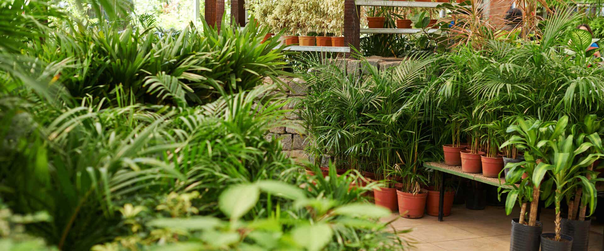 Labor Transformation Through More Effective Planning in a Highly