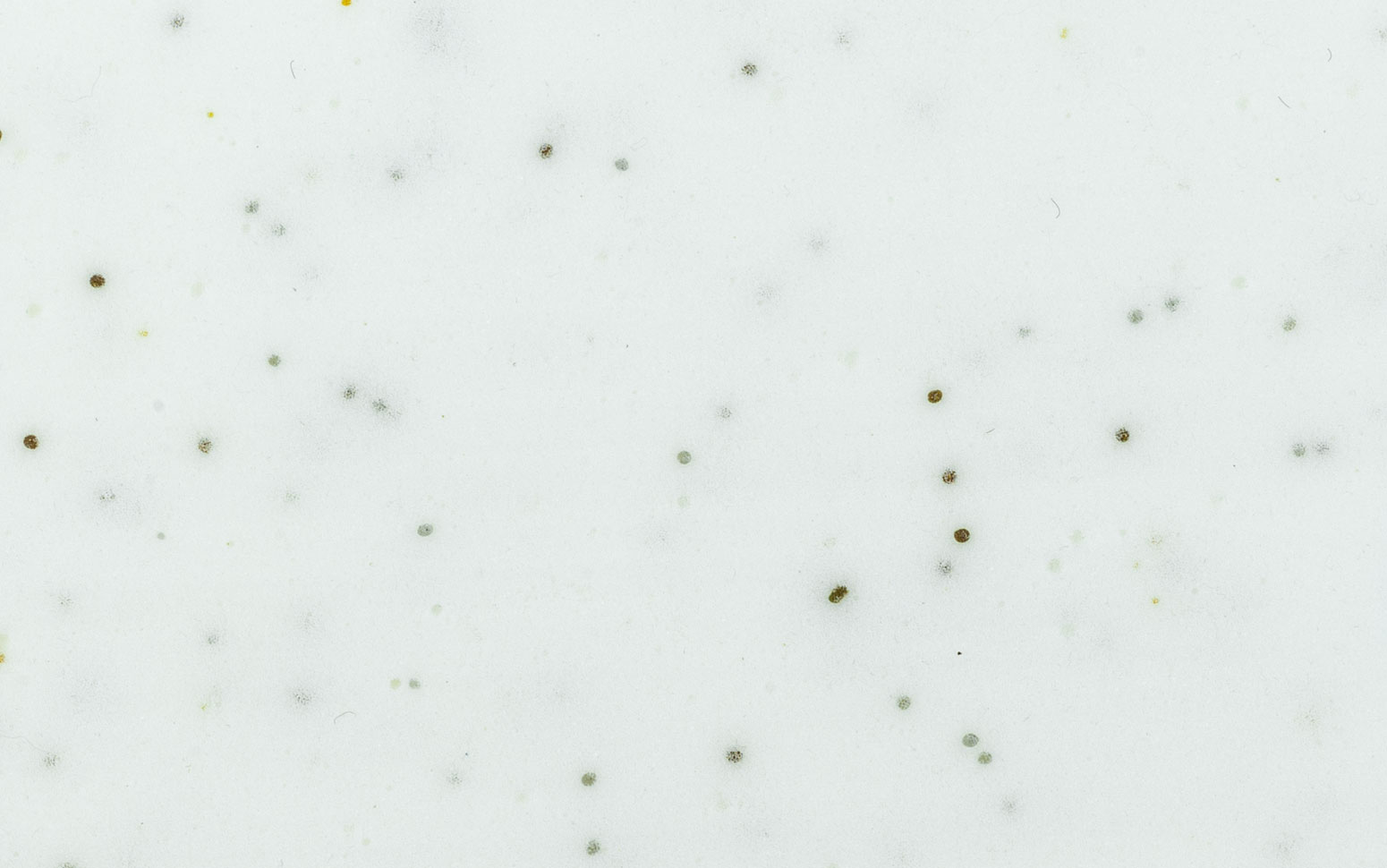 Elate Foam Carpenter Co.