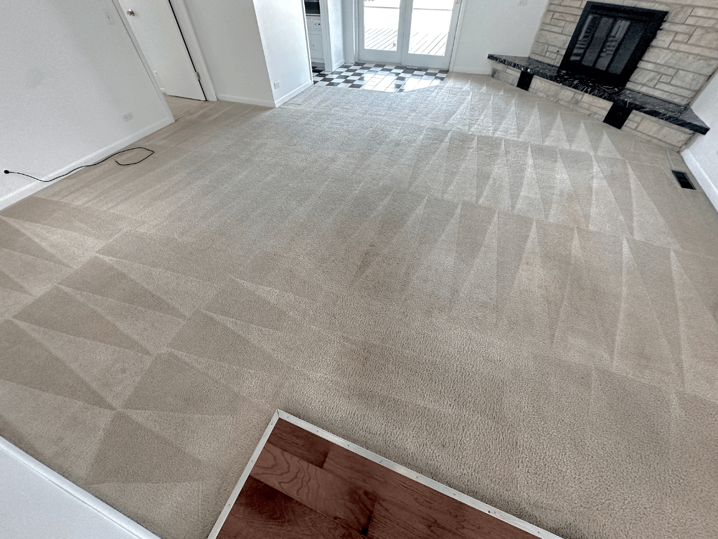 Chicago Carpet Cleaning Get Your Carpets Cleaned by Pros