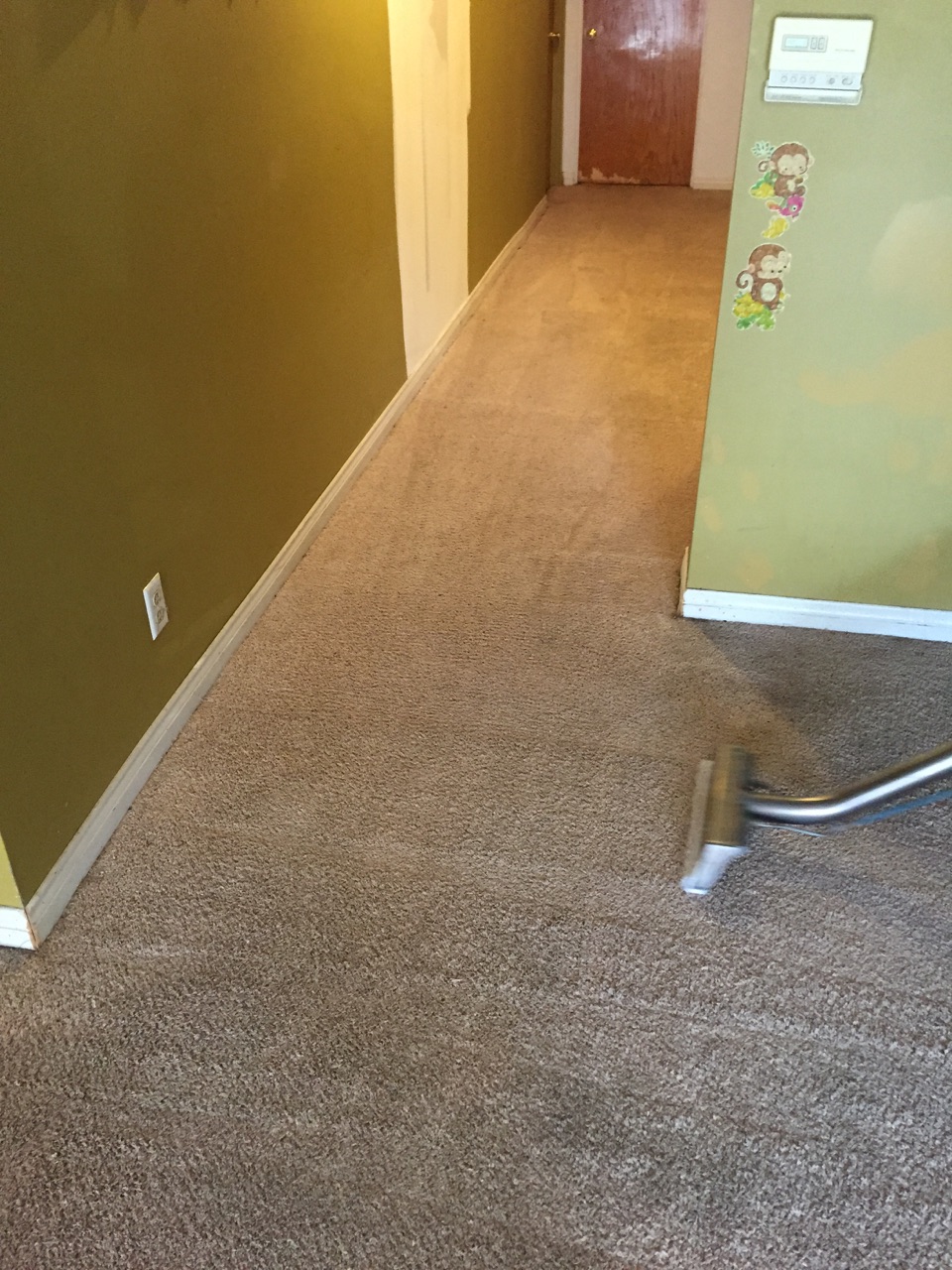 Carpet Savers Carpet Cleaning