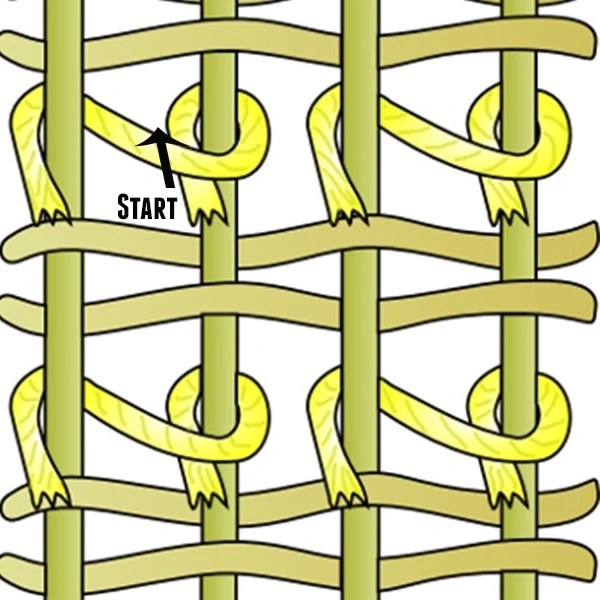 Knot type and Knot Density SMYSE CARPET