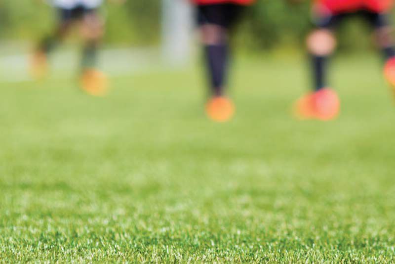 sportsleisuregrass Carpet Brokers