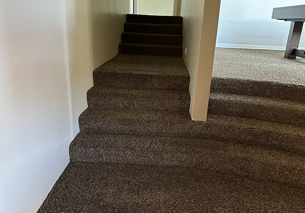 Affordable Carpet Cleaning, Area Rug Cleaning San Diego