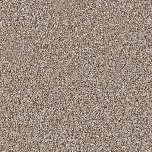 Pattern Carpet Flooring Dreamweaver Starstruck Surrey Carpet