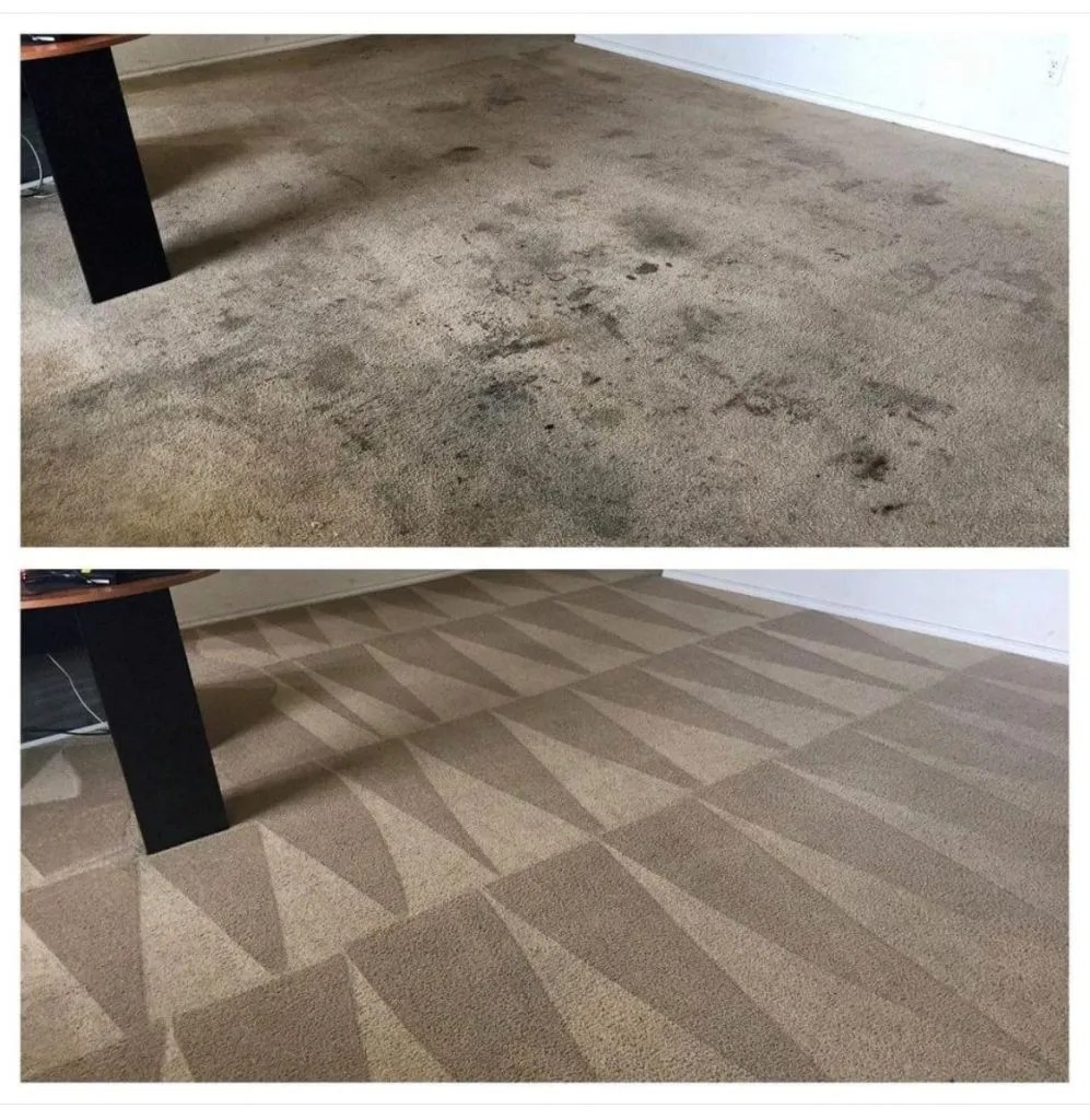 Carpet Cleaning Kent Carpet & Upholstery Cleaning