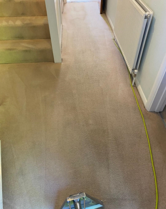 Carpet Cleaning Kent