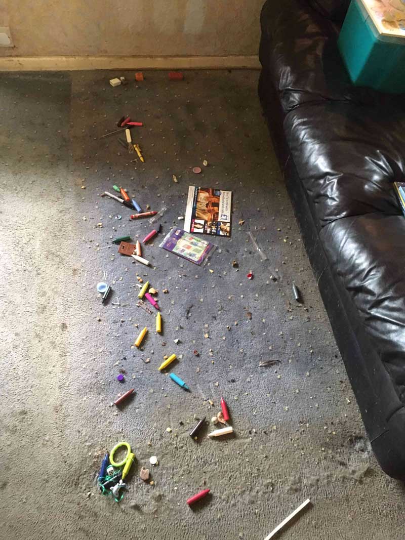 JPP Carpet Cleaning Harrogate Knaresborough Wetherby