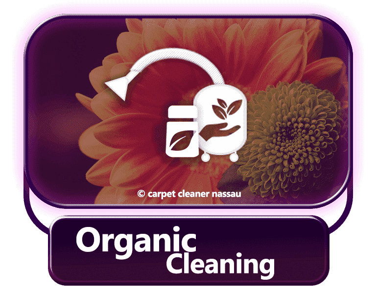 Organic Cleaning Nassau