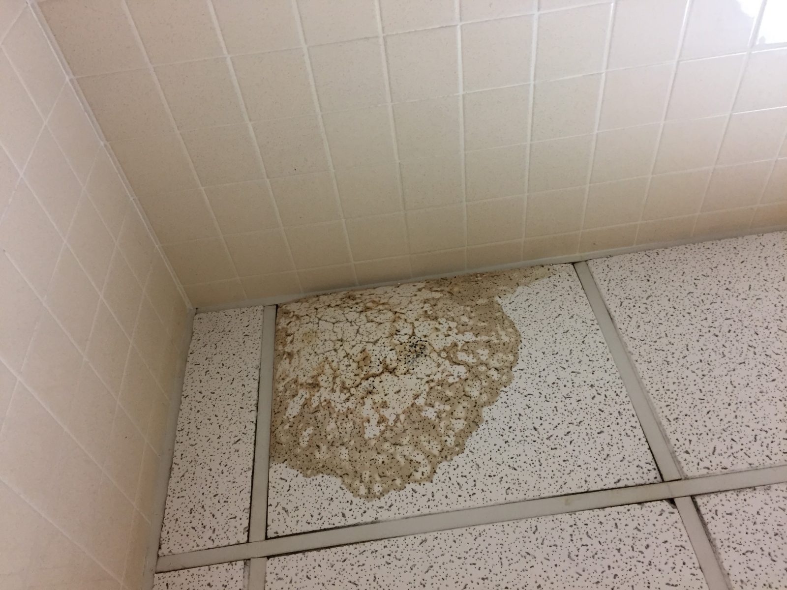 How To Clean Your Home After Water Damage NYC Carpet Cleaning Service