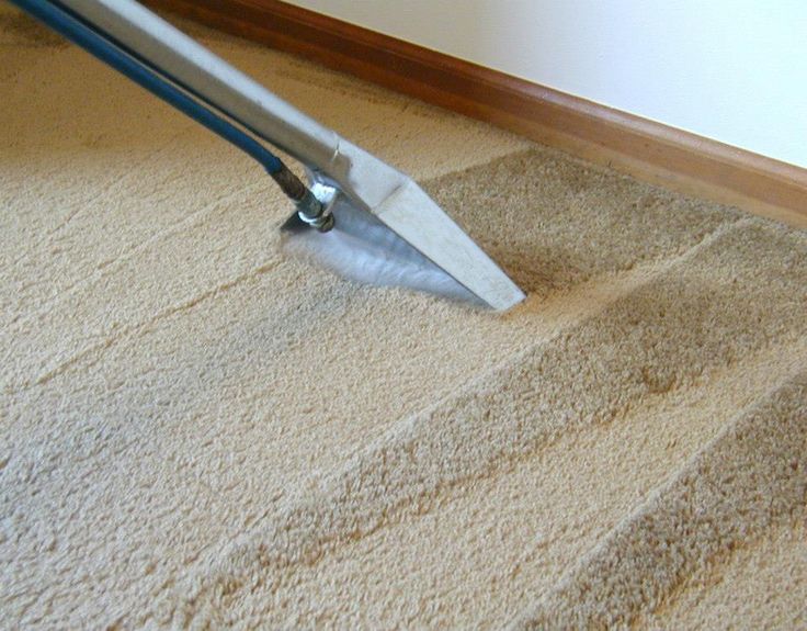 Tips to use while looking for a carpet steam cleaning company Carpet