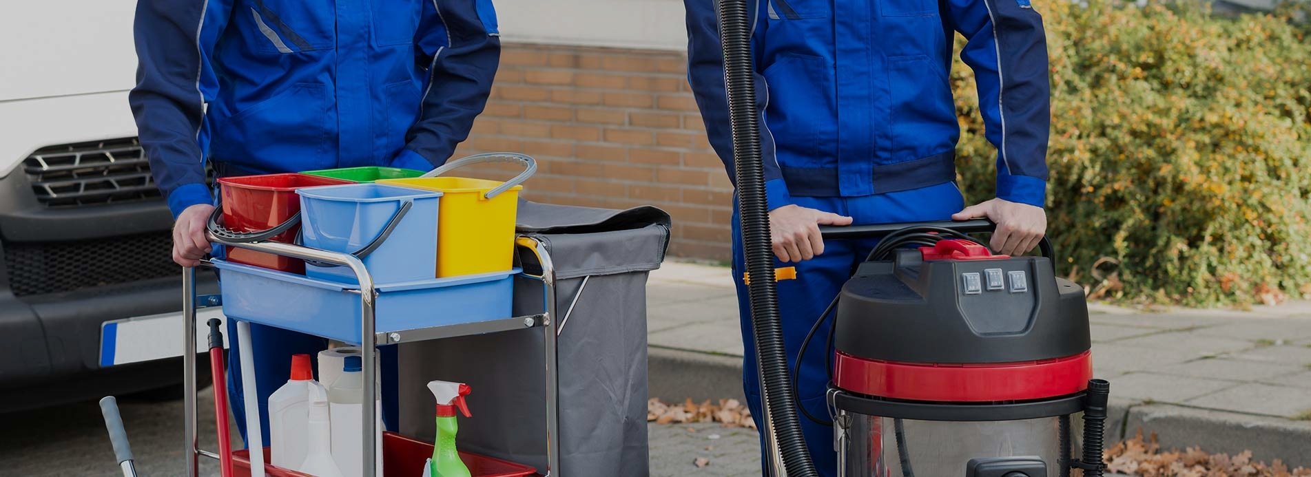 Carpet Cleaners tw10 SameDay Carpet Cleaning In Petersham