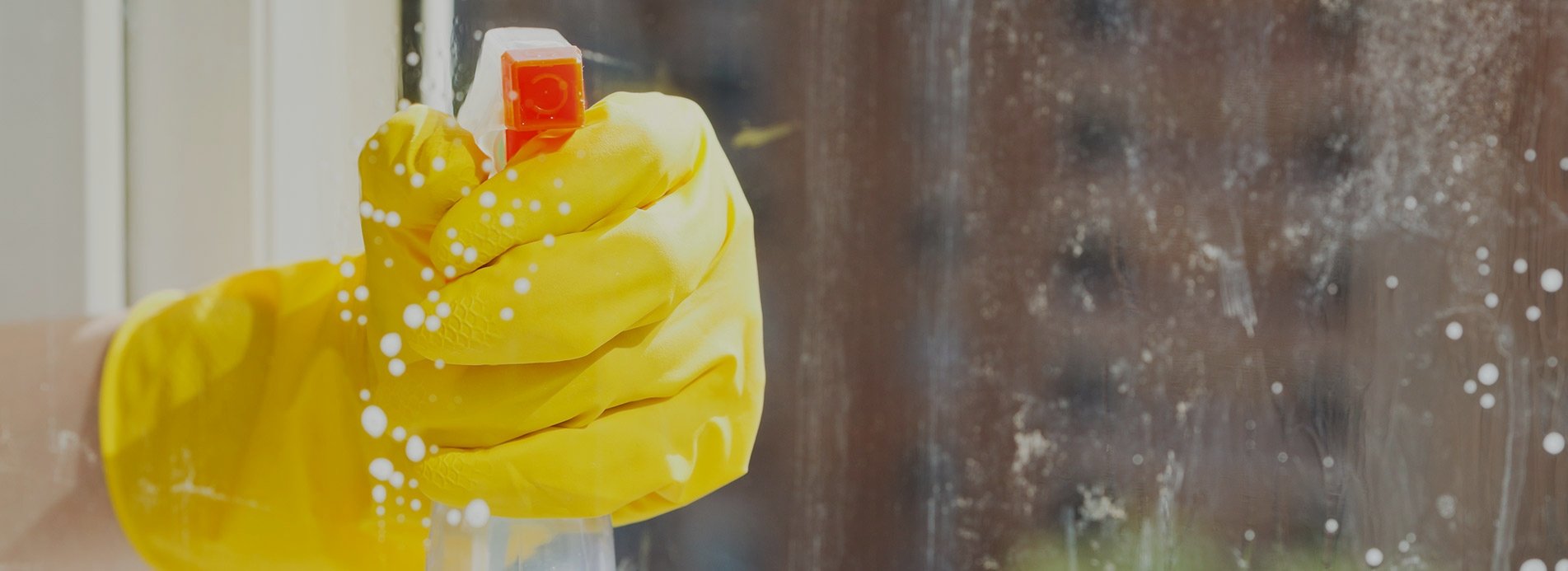 Carpet Cleaners w11 TopRated Cleaning Company In Notting Hill