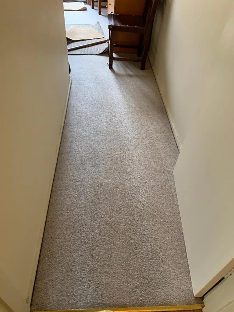 Gallery GS Murphy Carpet Cleaning Working Updates