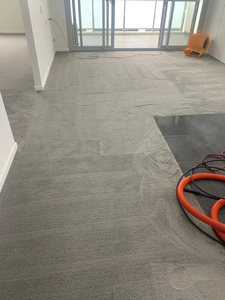 Gallery GS Murphy Carpet Cleaning Working Updates