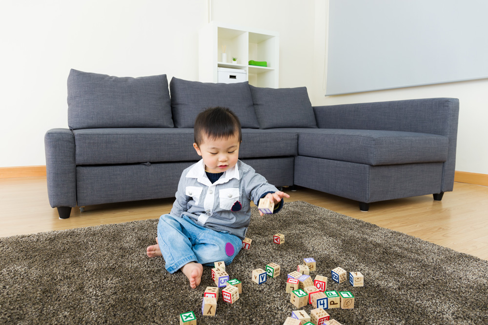 Rug Cleaning Everett Oriental Rug Cleaning Persian Rug Cleaning