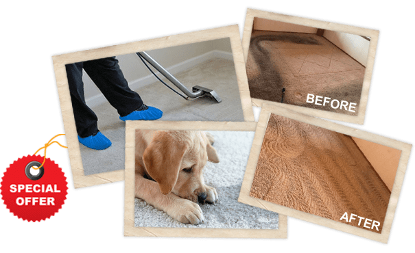 Carpet Cleaning Spring TX (5 Steps Perfectly Clean Carpets)