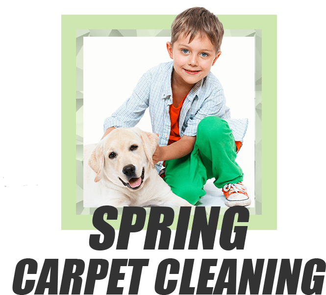 Steam Carpet Spring TX 20 off EcoFriendly Near Me