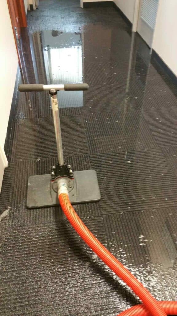 Carpet Cleaning Sunshine Coast Drymaster