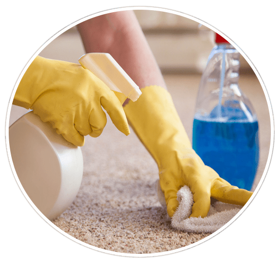 Carpet Cleaning Antioch, CA PROS 9253181479 Rug Upholstery Sofa