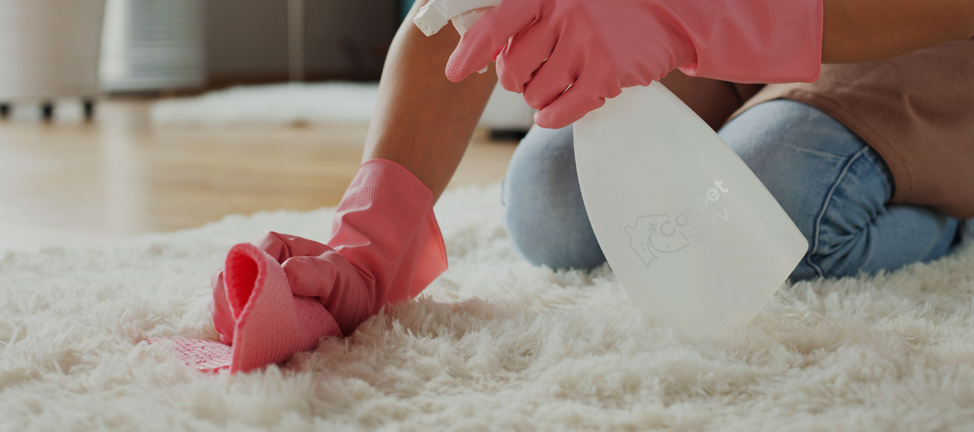 Carpet Cleaning DC, Upholstery cleaning, Rug cleaning Washington DC