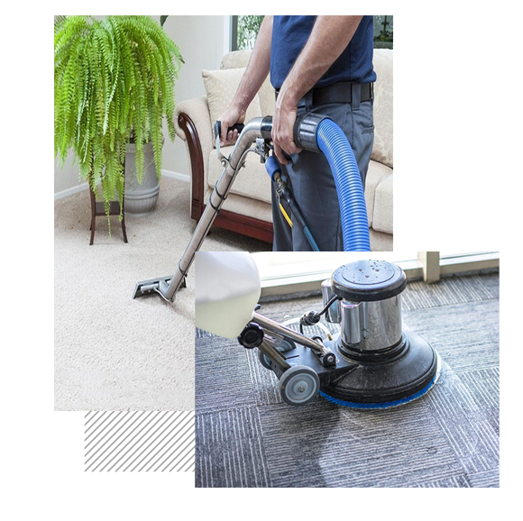 Carpet Cleaning Houston TX Stain Removal Free Estimate