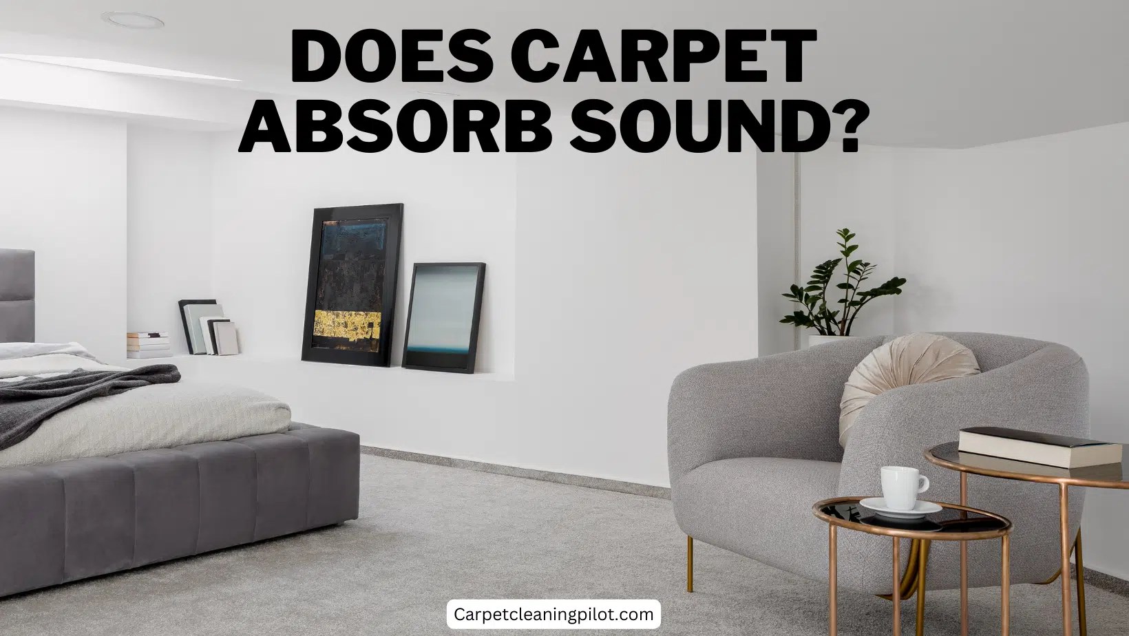 Does Carpet Absorb Sound? Easy Ways to Reduce Noise!