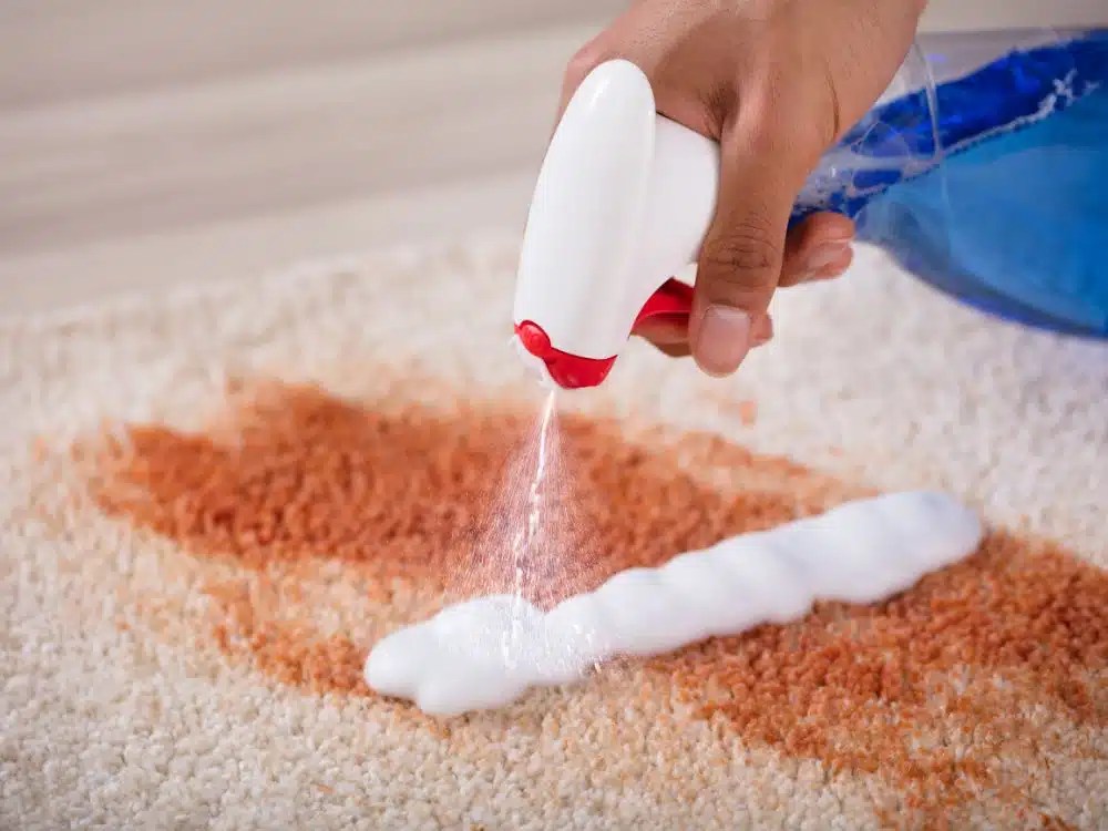 Can You Use Vinegar To Clean The Carpet? 10 Uses Of Vinegar