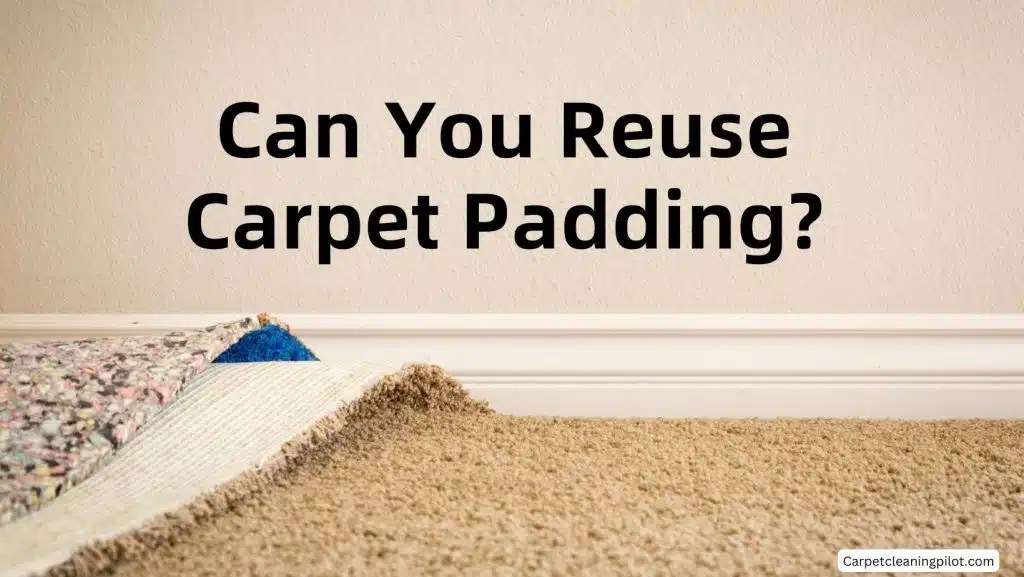 Can You Reuse Carpet Padding? Signs To Replace The Padding